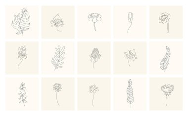 Çiçek elementleri. El yapımı bitkiler koleksiyonu. Tasarım elementlerini çizim tarzı çiçek ve dallara yerleştir. Botanik simgeleri