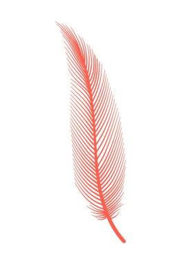 Mercan kuş tüyü. Süslü, tüylü, tüylü pembe flamingo ya da kaz tüyü. Plume simgesi beyaz arkaplanda izole edildi