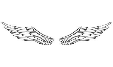 Klasik kraliyet kanatları skeci. Tek renkli, stilize kuş kanatları. Elle çizilmiş stiker kanadı açık pozisyonda. Renk biçiminde tasarım ögeleri