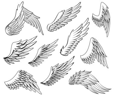 Klasik kraliyet kanatları eskizi koleksiyonu. Tek renkli, stilize kuş kanatları. Elle çizilmiş stiker kanadı açık pozisyonda. Renk biçiminde tasarım ögeleri
