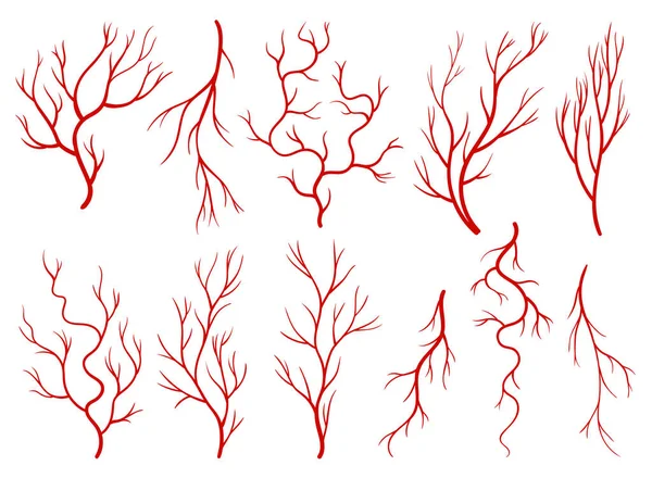 Verzameling van menselijke aderen. Rode silhouetvaten, slagaders of haarvaten op witte achtergrond. Concept anatomie element voor de medische wetenschap. Vector geïsoleerd symbool van het bloedsysteem — Stockvector