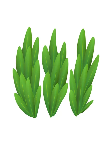 Grass or bushes. Green spring grass. Fresh plants, garden botanical greens, herbs and leaves vector isolated on white. Natural lawn meadow bushes, floral vegetation. Element to create a scene — Stock Vector