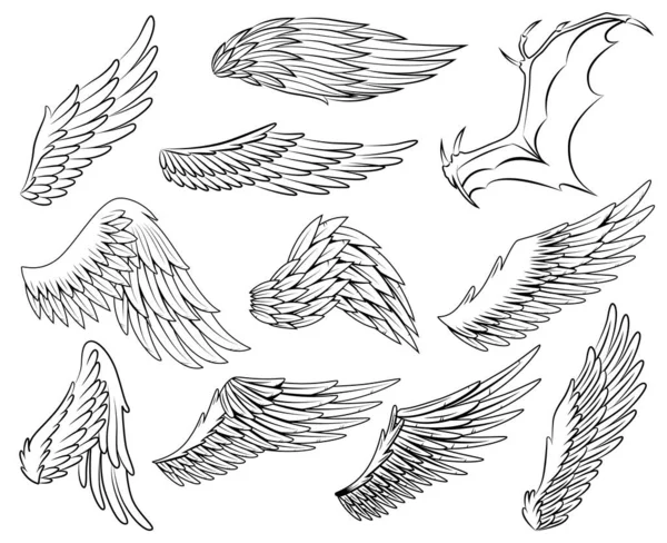 Collection d'ailes héraldiques vintage croquis. Ailes monochromes stylisées pour oiseaux. Aile rigide profilée dessinée à la main en position ouverte. Eléments de conception dans le style de coloration — Image vectorielle