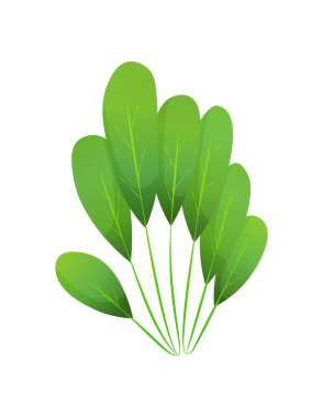 Çimenler ya da çalılar. Yeşil gerçekçi bahar çimeni. Taze bitkiler, bahçe bitkileri, bitkiler ve yapraklar beyaza izole edilmiş. Doğal çayır çalıları, çiçek bitkileri.