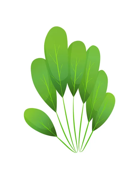 Plukje Grasストックベクター ロイヤリティフリーplukje Grasイラスト ページ 2 Depositphotos