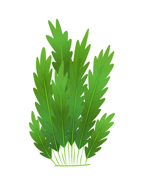 Hierba o arbustos. Verde hierba de primavera realista. Plantas frescas, verdura botánica de jardín, hierbas y hojas vectoriales aisladas en blanco. Arbustos de prado de césped natural, vegetación floral — Vector de stock