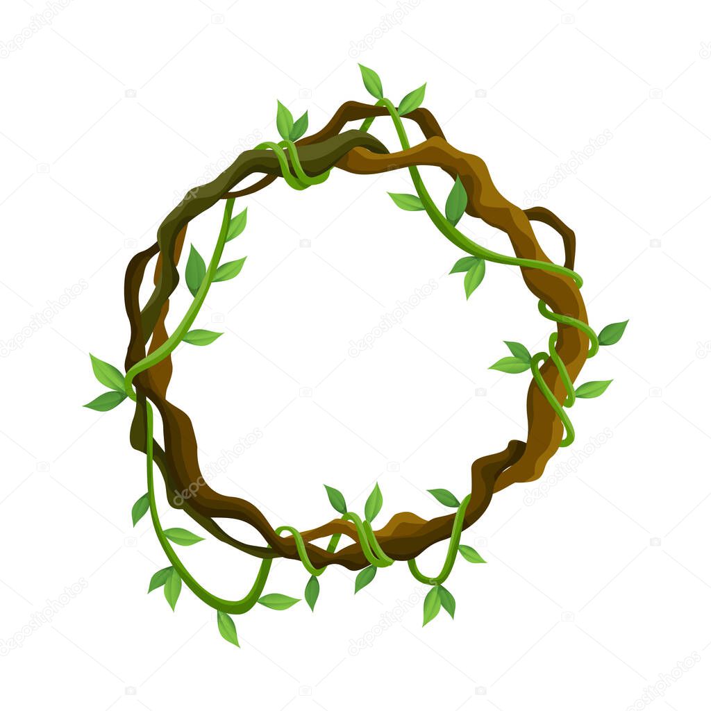 Tropical liana frame, jungle plant branches with leaves. Tropical climbing liana vine with green leaves. Cartoon lianas frame shaped. Liana branches