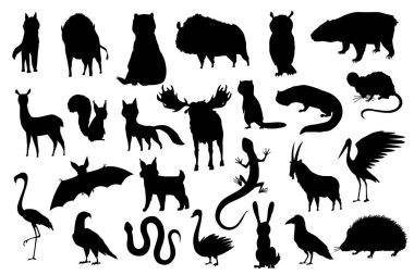 Avrupa 'nın siluet hayvanları. Doğa hayvan koleksiyonu. Coğrafi yerel fauna. Kıtada yaşayan memeliler. Vektör illüstrasyonu