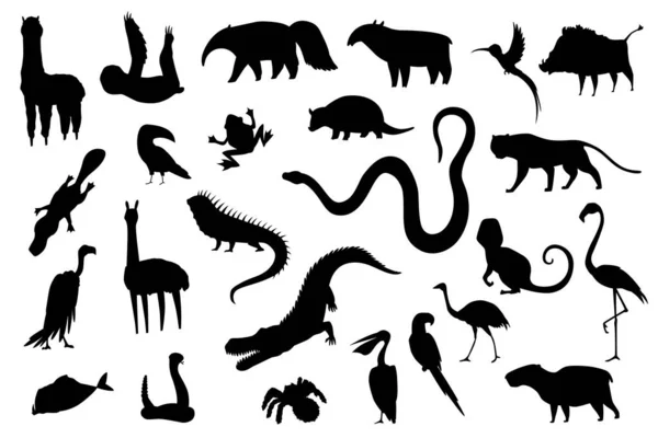南アメリカのシルエット動物。自然動物のコレクション。地理的な地域の動物。大陸に生息する哺乳類。ベクターイラスト — ストックベクタ
