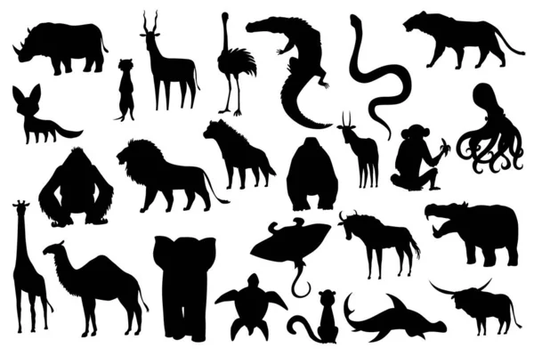 Coleção de animais vetores bonitos. Animais de silhueta desenhados à mão que são comuns na África. Conjunto de ícones isolado sobre um fundo branco — Vetor de Stock
