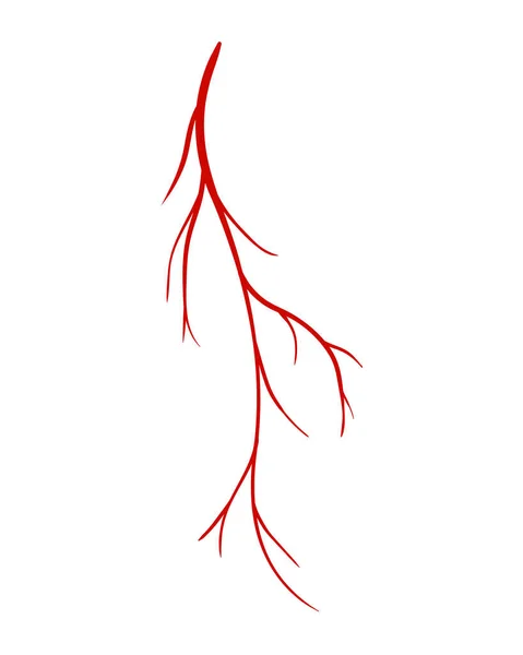 Menselijke aderen. Rood silhouetvat, slagaders of haarvaten op witte achtergrond. Concept anatomie element voor de medische wetenschap. Vector geïsoleerd symbool van het bloedsysteem — Stockvector