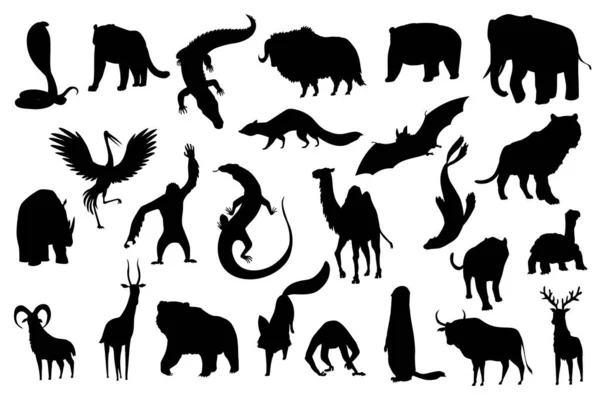 Colección de animales vector lindo. Siluetas dibujadas a mano que son comunes en Asia. Set de iconos aislados sobre fondo blanco — Vector de stock