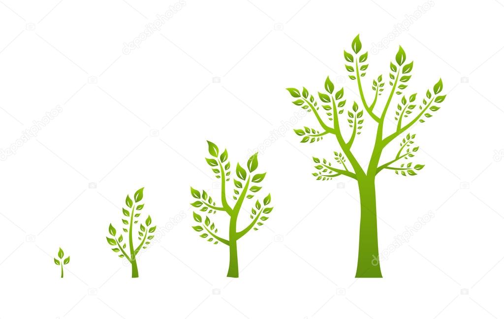 Green tree growth eco concept