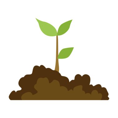 Ağaç yetiştirme aşaması. Yeşil yapraklı ve dallı küçük bir ağaç. İş döngüsü gelişiminin gösterimi.