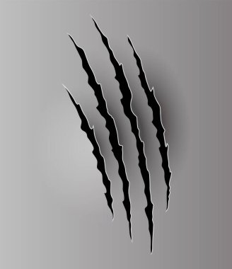 Ayı ya da Kaplan Pençesi izi. Çizikler ve yırtık vektör hayvan pençesi izleri. Yırtık kenarlı kağıt delikleri. Vektör illüstrasyonu.