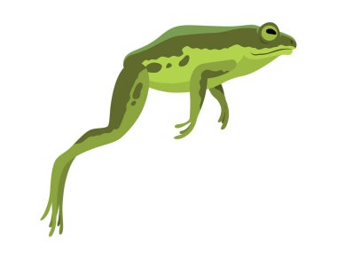 Kurbağa zıplama animasyon ikonu. Hareket tasarımı için diziler ya da görüntüler. Çizgi film karakurbağası sıçrayışı, hayvan hareketi konsepti. Kurbağa sıçrama dizisi, vektör illüstrasyonu.