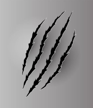 Ayı ya da Kaplan Pençesi izi. Çizikler ve yırtık vektör hayvan pençesi izleri. Yırtık kenarlı kağıt delikleri. Vektör illüstrasyonu.