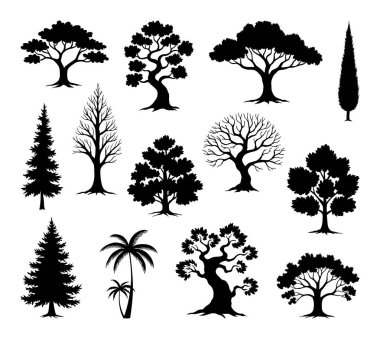 Palmiye, çam ve yaprak döken ağaçlar da dahil olmak üzere çeşitli ağaç türlerinin siluetleri. Farklı şekil ve boyutlarda ağaç siluetleri, çeşitli ağaç formlarını gösteriyor. Siluet orman elementleri, vektör ayarlandı.