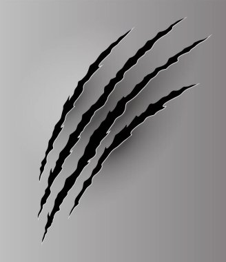 Ayı ya da Kaplan Pençesi izi. Çizikler ve yırtık vektör hayvan pençesi izleri. Yırtık kenarlı kağıt delikleri. Vektör illüstrasyonu.