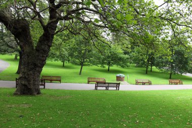 yeşil park