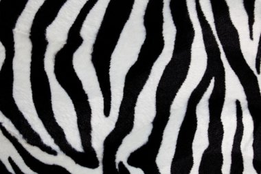 Zebra için arka plan yazdırma 