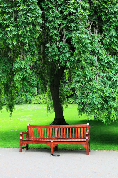 Дерево со скамейкой и зеленой травой

