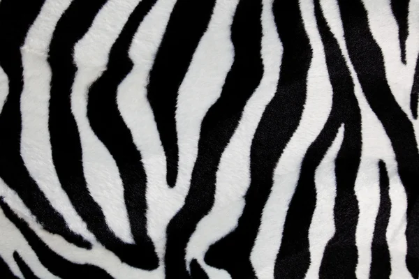 Zebra print for background — Stock Photo, Image