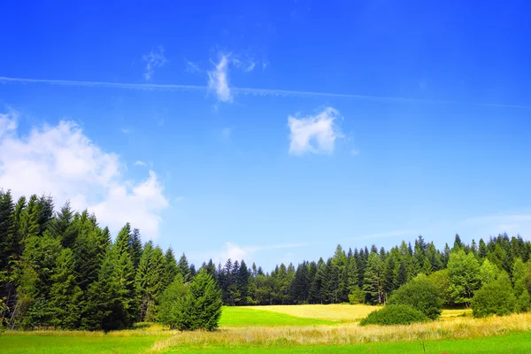 Primavera natureza paisagem no céu azul — Fotografia de Stock