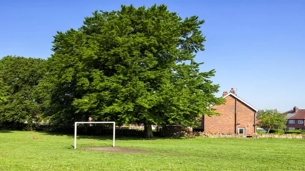 Casas Perto Campo Futebol — Fotografia de Stock