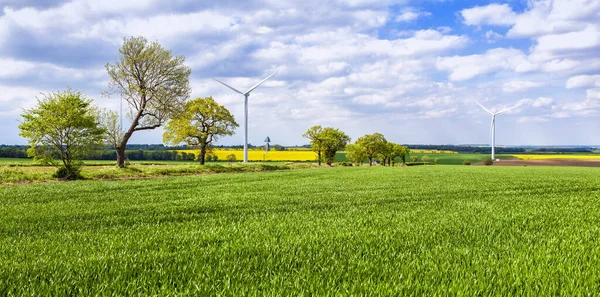 风力涡轮机和美丽的农田景观 — 图库照片