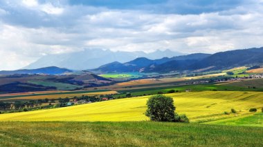 Karpatlar 'daki pitoresk dağ manzarasının panoramik görüntüsü