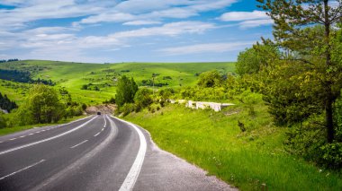 Baharda yeşil tepeler boyunca asfalt yol
