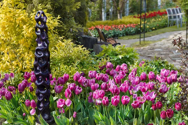 Tulipes Printanières Dans Parc Ville — Photo