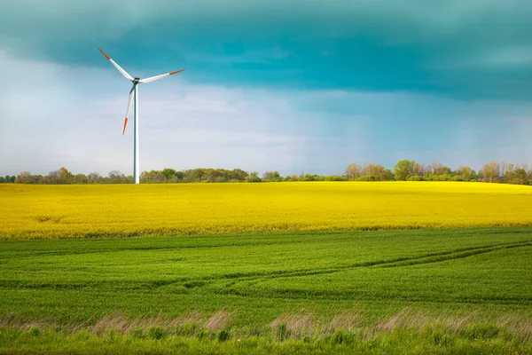 Zielona Łąka Grunty Rolne Turbiną Wiatrową Wytwarzającą Energię Elektryczną — Zdjęcie stockowe