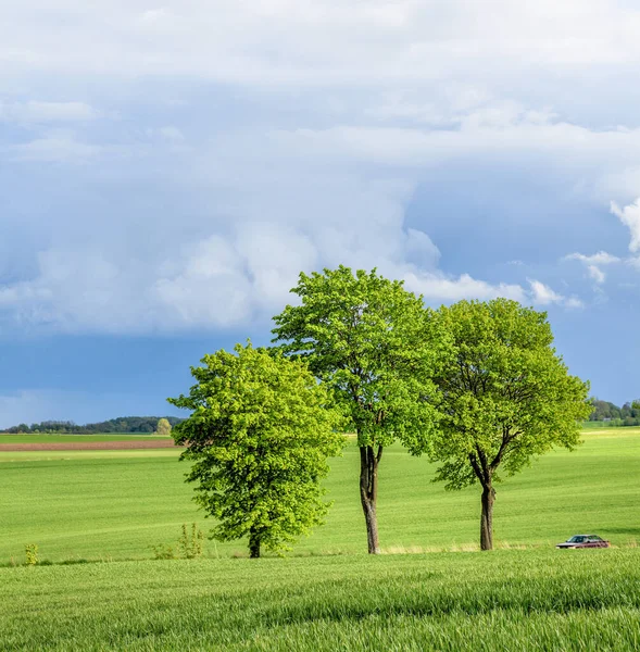 Transport Travers Les Espaces Écologiques Verts Campagne — Photo