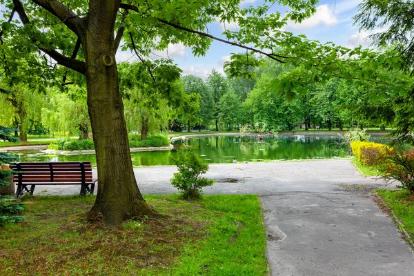 Schöner Grüner Stadtpark Frühling — Stockfoto