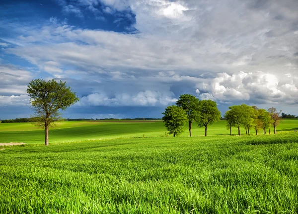 Grüne Landschaft — Stockfoto