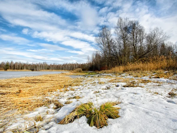 Invierno — Foto de Stock