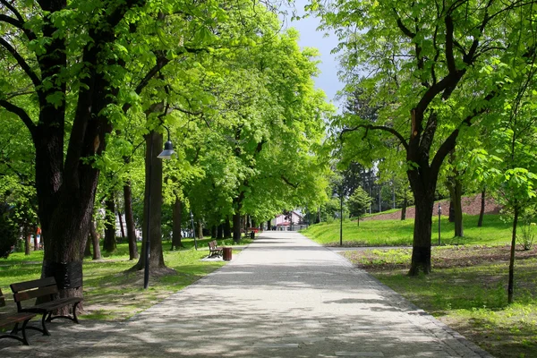 Voorjaarspark — Stockfoto