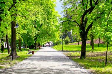 Yeşil Şehir Parkı