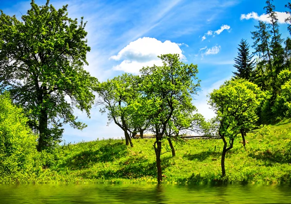 Zielony natura pejzaż — Zdjęcie stockowe