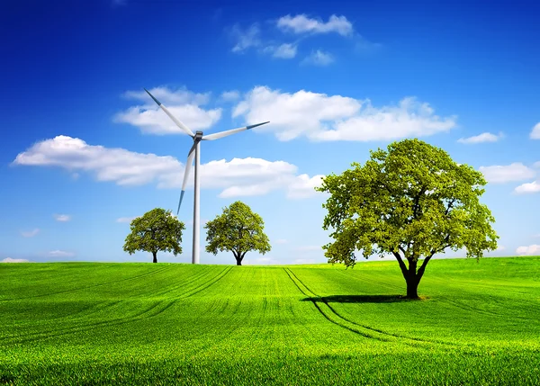 Eco rechtstreeks naar groene natuur — Stockfoto