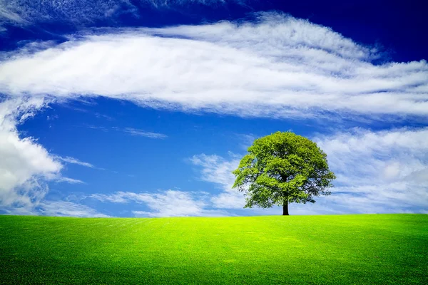 Wonen in een groene natuur — Stockfoto