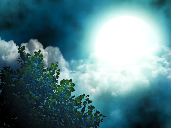 Mond und Baum — Stockfoto