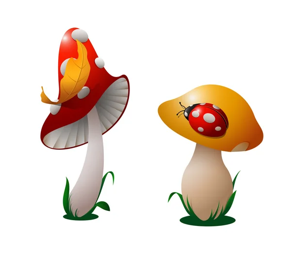 Dois cogumelos . — Vetor de Stock