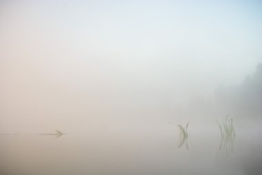 görüntü doğa serisi