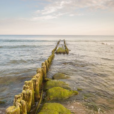 görüntü doğa serisi