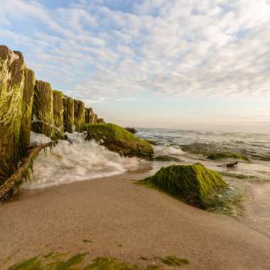 görüntü doğa serisi