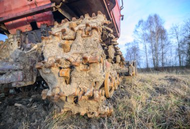 görüntü doğa serisi