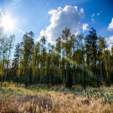 görüntü doğa serisi